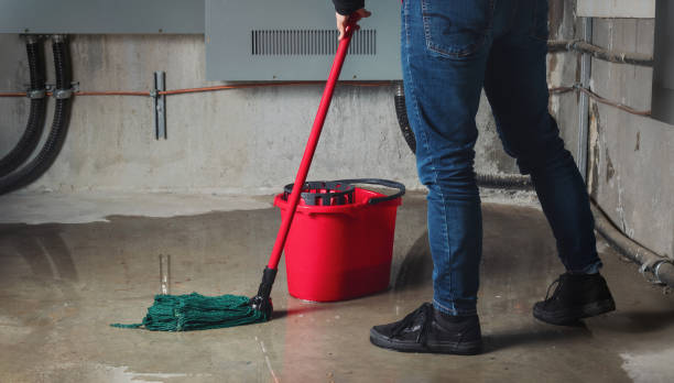 Best Commercial water damage restoration  in Brewster Heights, NY