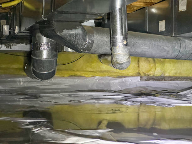 Best Flood damage cleanup  in Brewster Heights, NY