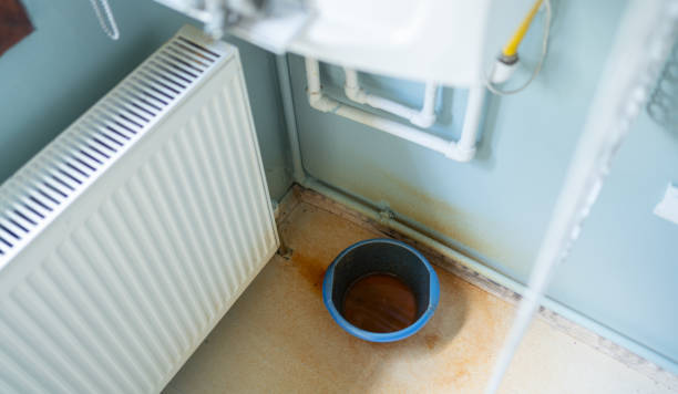 Best Water damage restoration near me  in Brewster Heights, NY